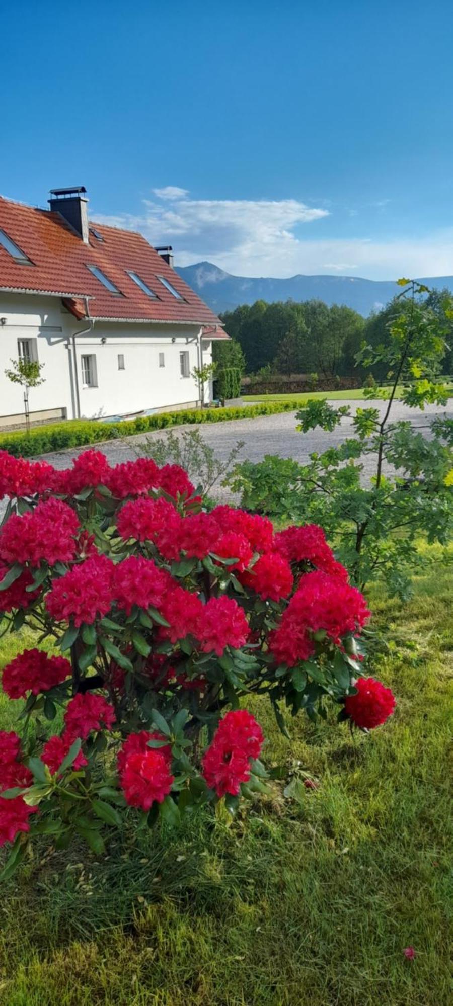 Wysokie Laki Domki W Gorach Kowary Extérieur photo