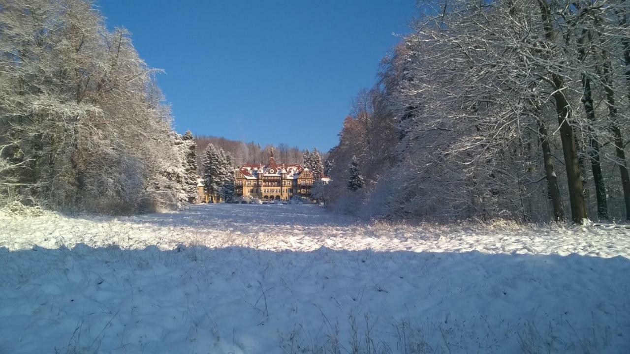 Wysokie Laki Domki W Gorach Kowary Extérieur photo