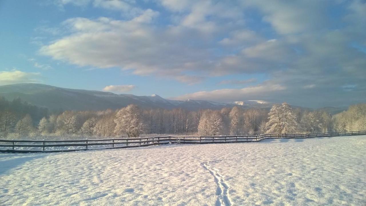 Wysokie Laki Domki W Gorach Kowary Extérieur photo